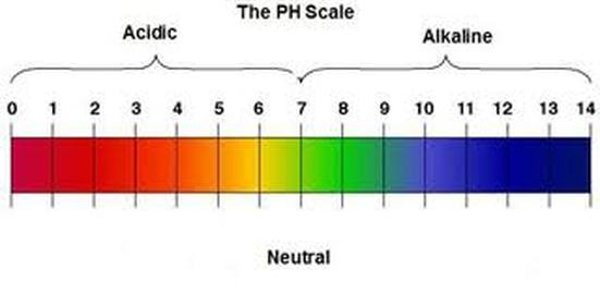 Ph Chart 1 14